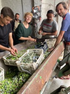 sustalive Olivenöl: Nachhaltiger Konsum